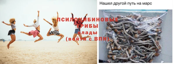 соль ск Арсеньев