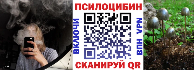 MEGA   Тавда  Псилоцибиновые грибы мицелий 
